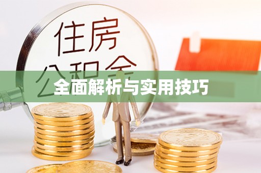 金塘全面解析与实用技巧
