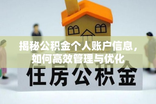 金塘揭秘公积金个人账户信息，如何高效管理与优化