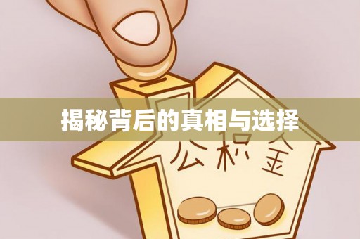 金塘揭秘背后的真相与选择