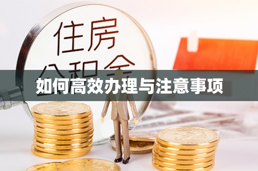 金塘如何高效办理与注意事项