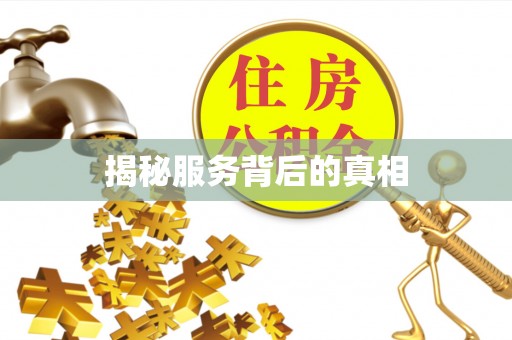 金塘揭秘服务背后的真相