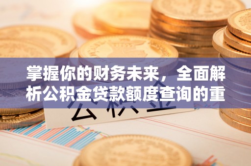 金塘掌握你的财务未来，全面解析公积金贷款额度查询的重要性
