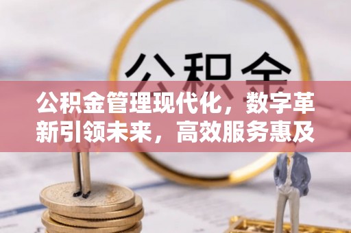 金塘公积金管理现代化，数字革新引领未来，高效服务惠及民生