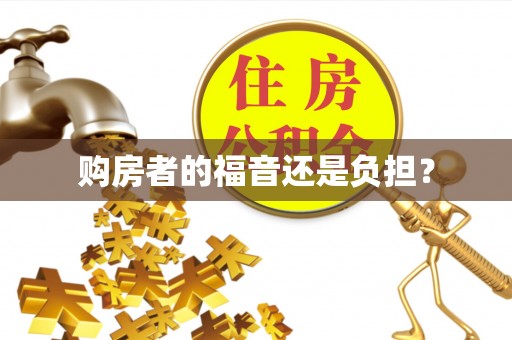 金塘购房者的福音还是负担？