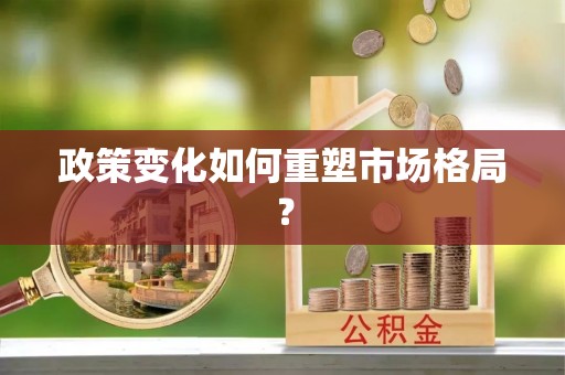 金塘政策变化如何重塑市场格局？