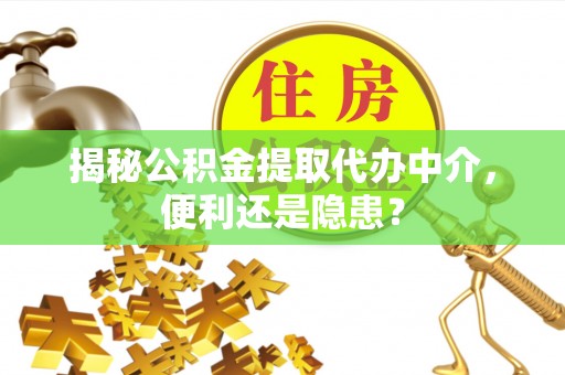 金塘揭秘公积金提取代办中介，便利还是隐患？