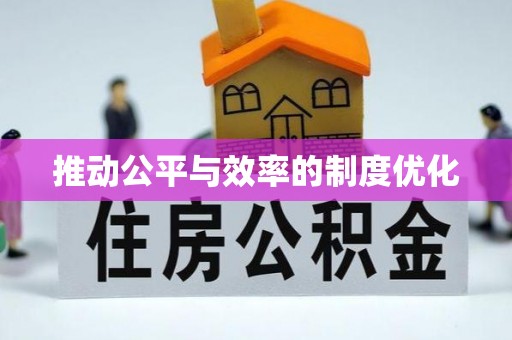 金塘推动公平与效率的制度优化