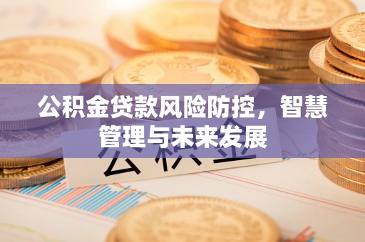 金塘公积金贷款风险防控，智慧管理与未来发展
