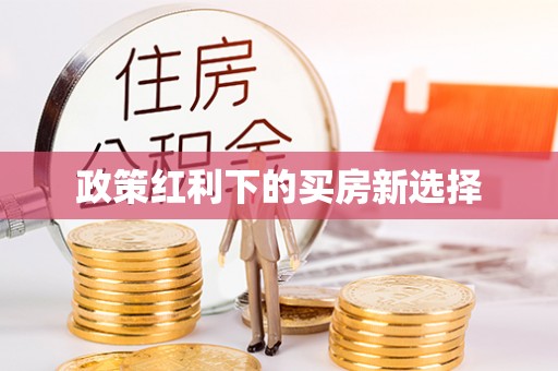 金塘政策红利下的买房新选择