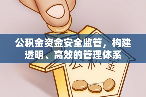 金塘公积金资金安全监管，构建透明、高效的管理体系