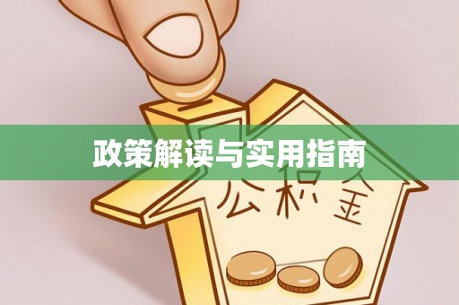金塘政策解读与实用指南