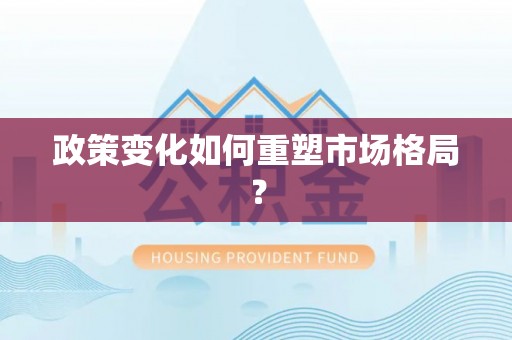 金塘政策变化如何重塑市场格局？