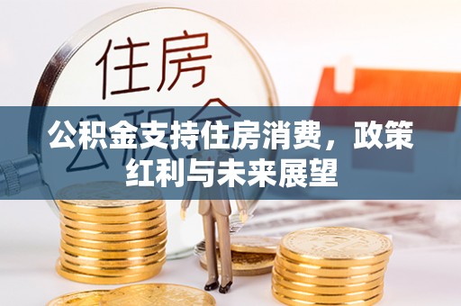 金塘公积金支持住房消费，政策红利与未来展望