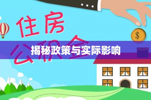 金塘揭秘政策与实际影响