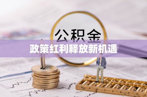 金塘政策红利释放新机遇