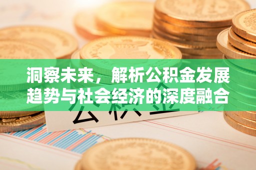 金塘洞察未来，解析公积金发展趋势与社会经济的深度融合