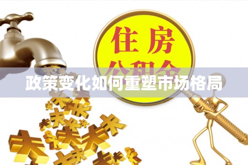 金塘政策变化如何重塑市场格局