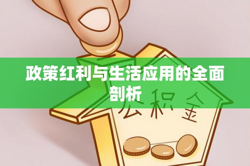 金塘政策红利与生活应用的全面剖析