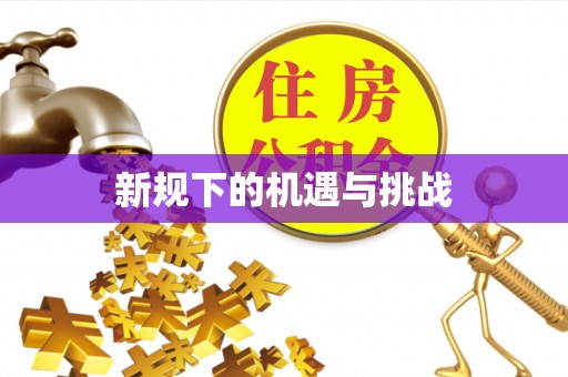 金塘新规下的机遇与挑战