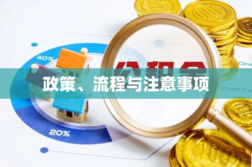 金塘政策、流程与注意事项
