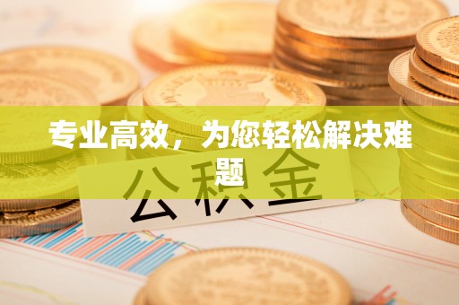 金塘专业高效，为您轻松解决难题