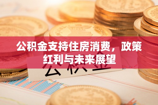 金塘公积金支持住房消费，政策红利与未来展望