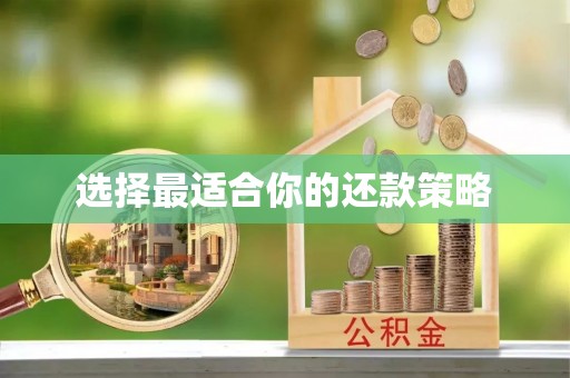 金塘选择最适合你的还款策略